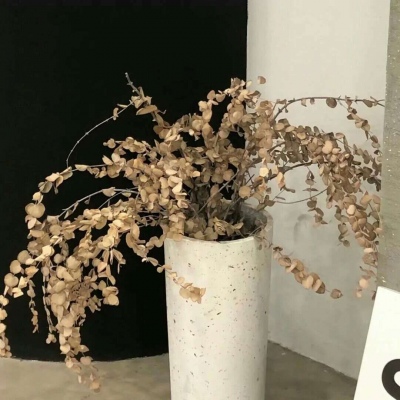 原创Furry角色设计Furry群